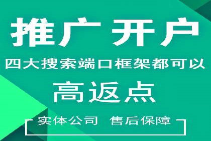 百度推广渠道拓展，成功案例分析