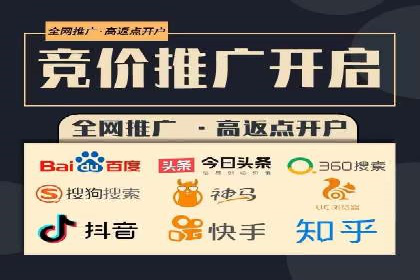 百度SEM推广策略：成功案例解析