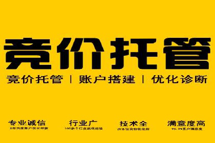 关键词竞价排名实战案例分析及优化